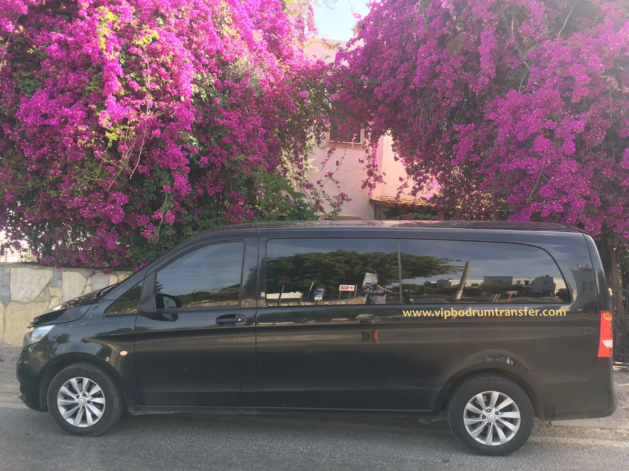 Vip Transfer